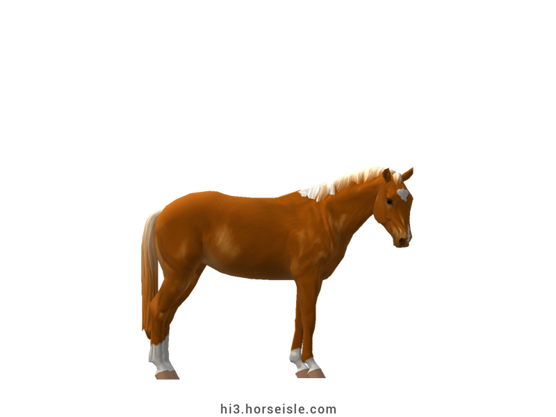 Large Belgian Riding Pony Flaxen Chestnut Tobiano Coat